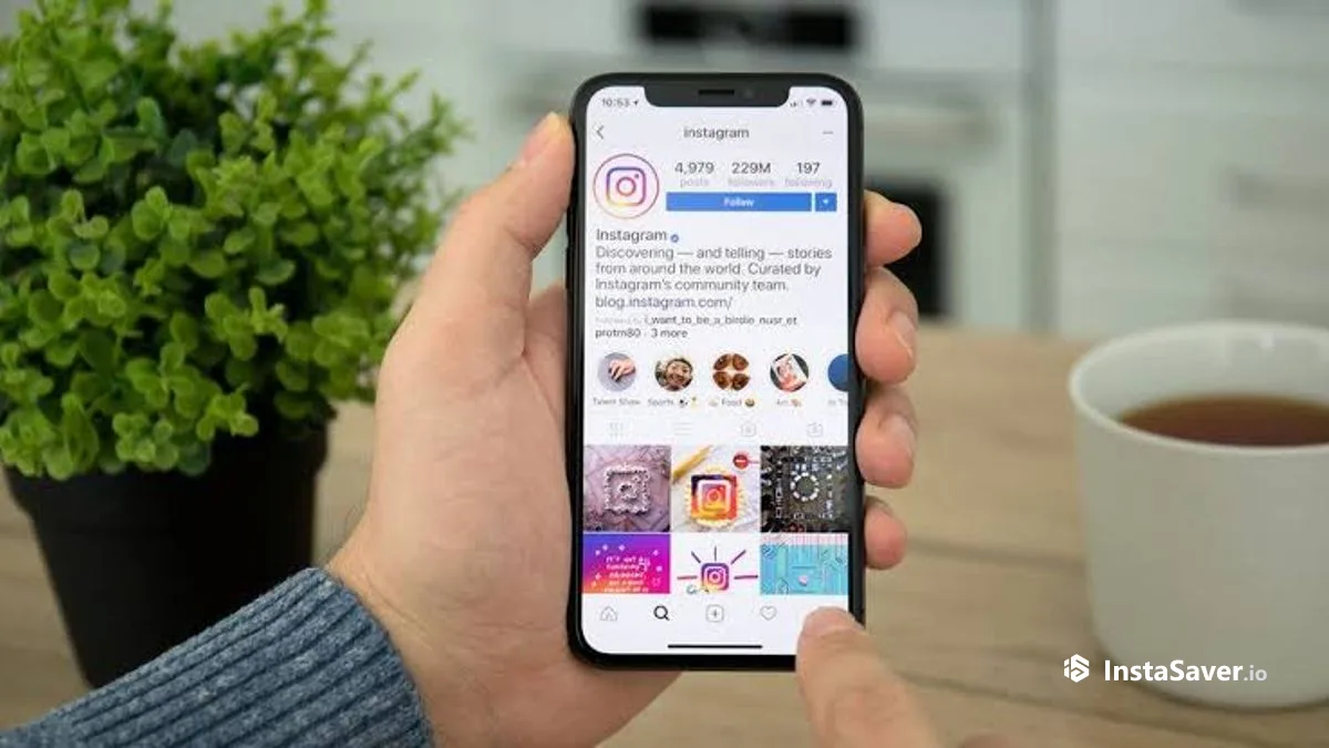 A phone showing an Instagram profile with the grid, bio, and follower count