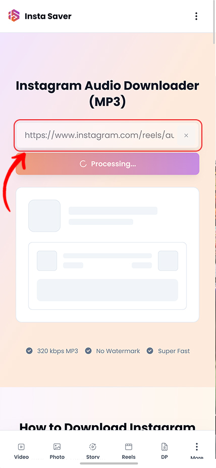 Step 2: Paste link in Insta Saver audio downloader
