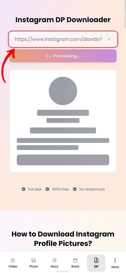 Step 2: Paste profile link in Insta Saver