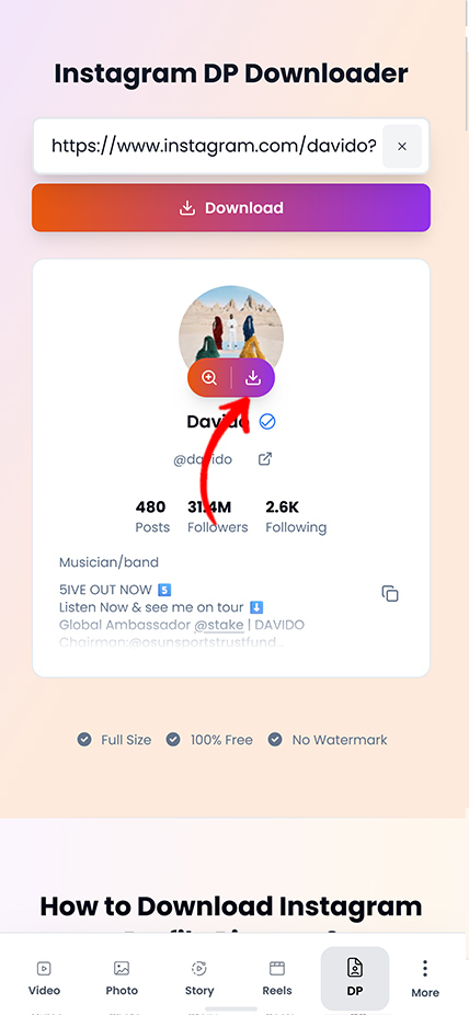 Step 3: Download profile picture in HD