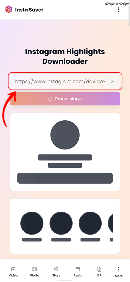 Step 2: Paste the username into Insta Saver highlights downloader