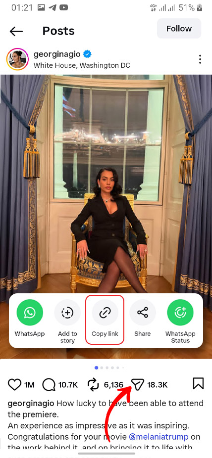 Step 1: Copy Instagram photo link