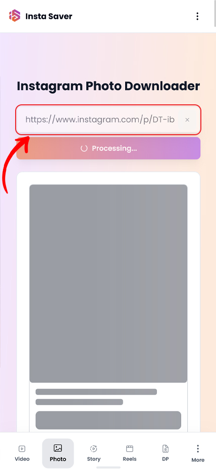 Step 2: Paste link in Insta Saver