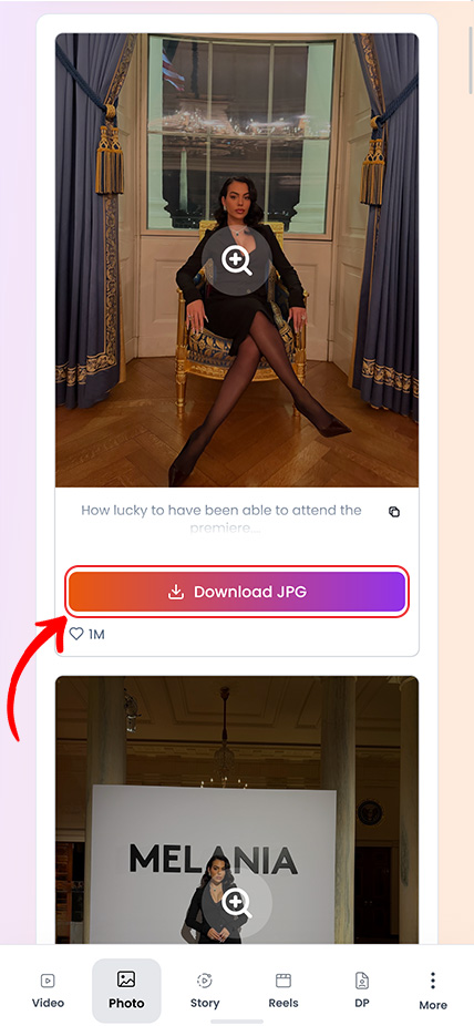 Step 3: Download photo in original quality
