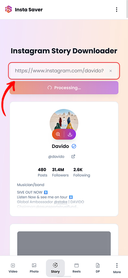 Step 2: Paste profile or story link in Insta Saver